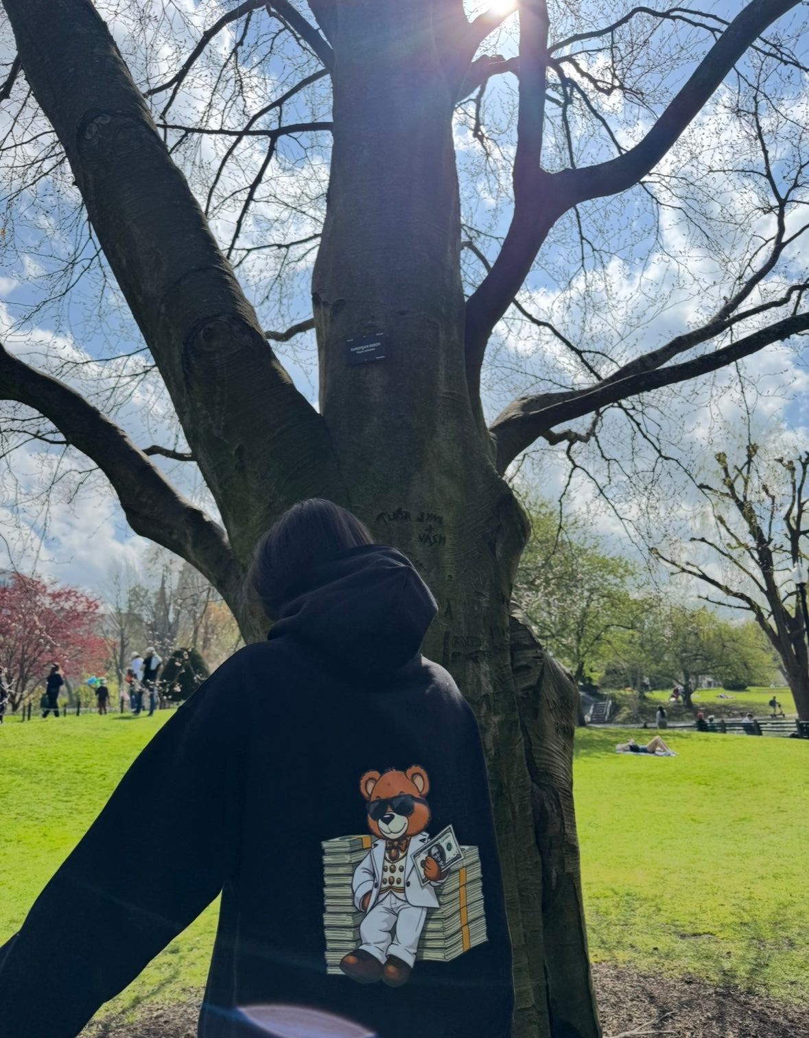 Nova Cub Hustle Hoodie